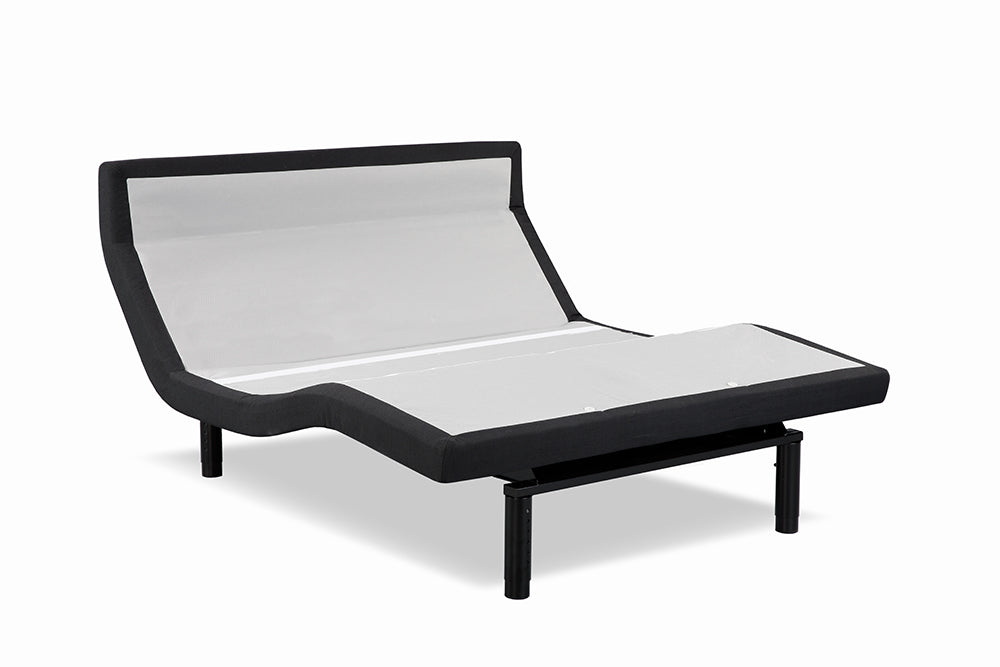 Prodigy PT Adjustable Bed