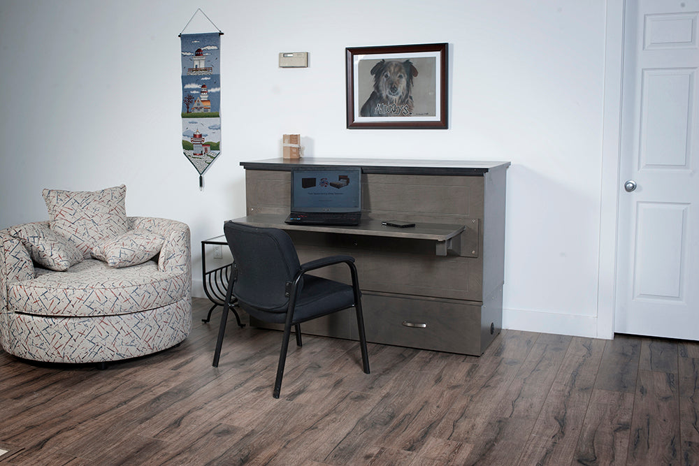 Study Buddy Cabinet Desk Bed