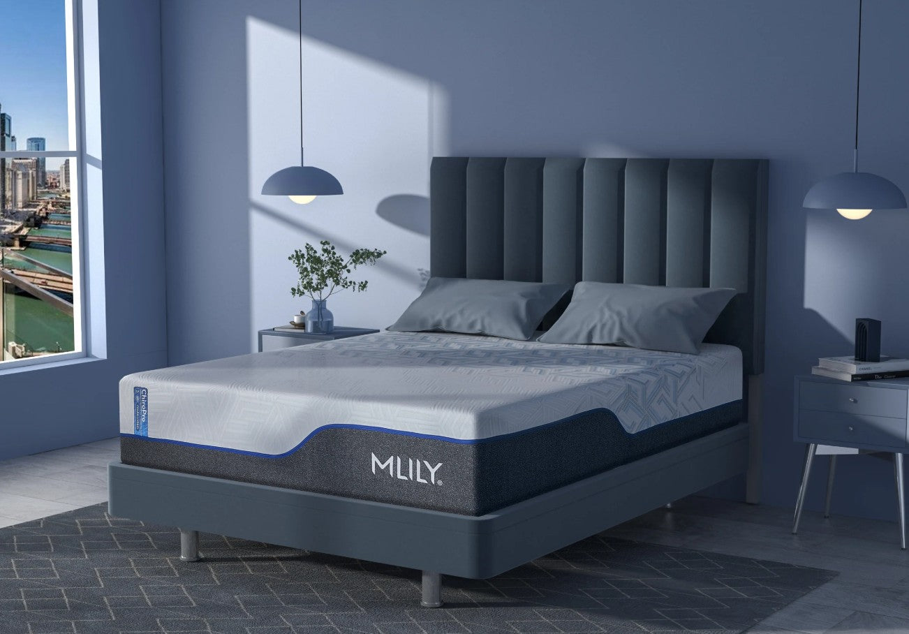 ChiroPro 1.0 Firm Mattress
