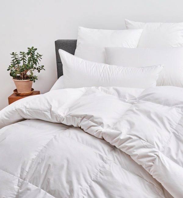 Mont Blanc White Polish Goose Down by Cuddle Down