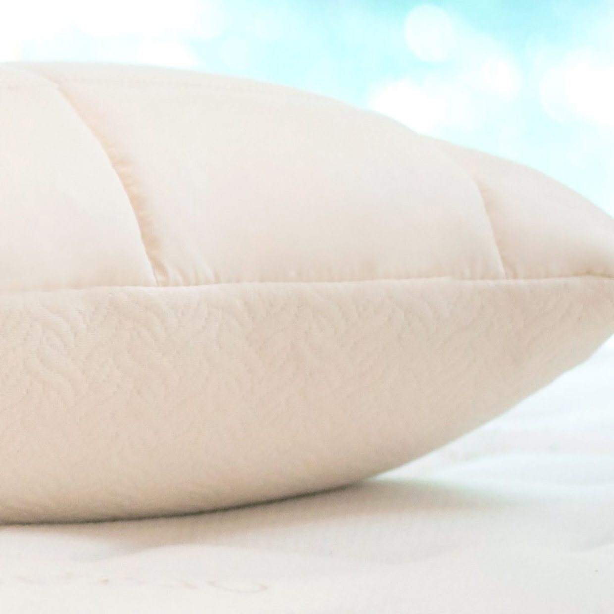 Organic Adjustable Latex 2 in 1 Pillow